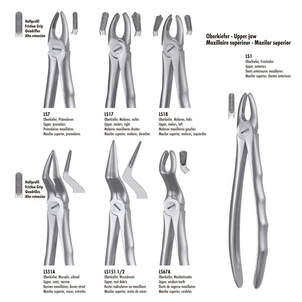 LS1 FORCEPS INCIS.-CANINO SUP. LIQUIDSTEEL