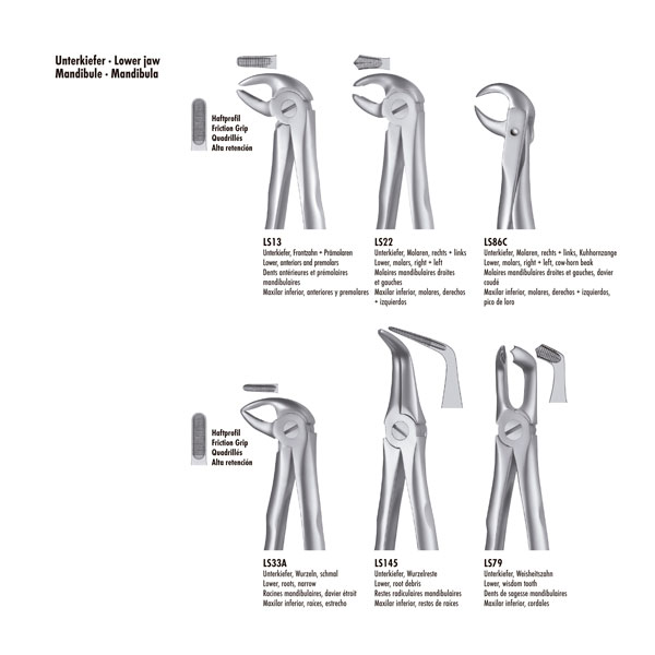 LS13 FORCEPS PREMOLAR INF. LIQUID STEEL