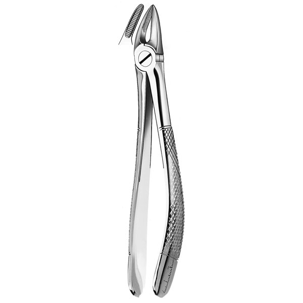 FORCEPS RAICES SUPERIORES 30