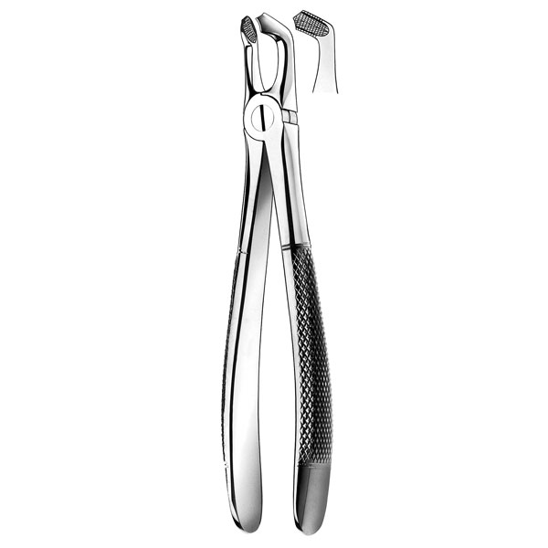 E79 FORCEPS N.79 CORDAL INF.