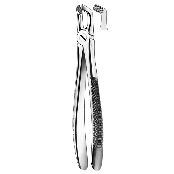 E79A FORCEPS CORDAL INFERIOR