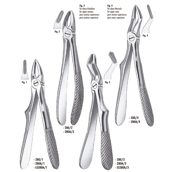 FORCEPS MARTIN 280A-1 niños incisivos sup