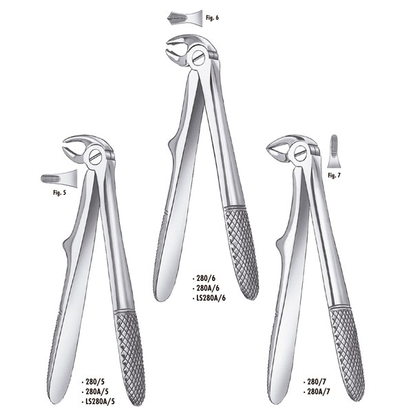 FORCEPS MARTIN 280A-6 niños molares inf