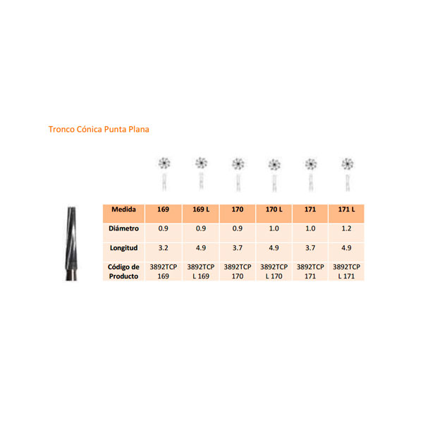 FG CARB.TUNGS.FIG.23L 5ud 169L 