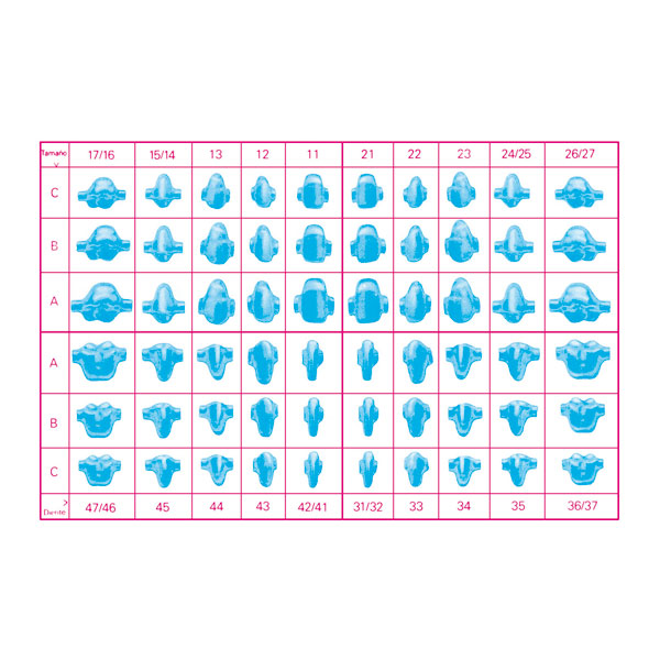 PREFORMA INDIVIDUAL 25uds. 21B 