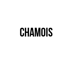 logo de CHAMOIS