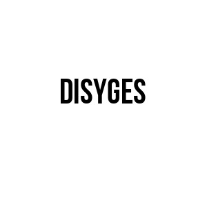 logo de DISYGES