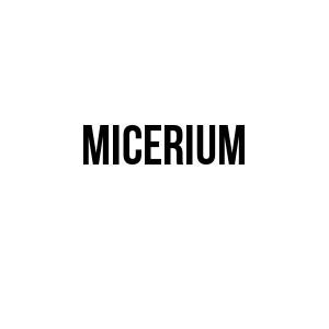 logo de MICERIUM