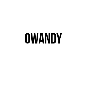 logo de OWANDY