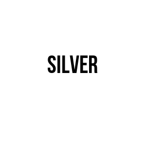 logo de SILVER