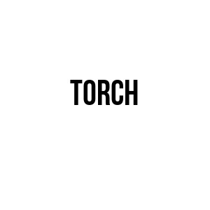 logo de TORCH