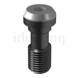 Tornillo Clínica Conexión Externa Hexagonal M2.5 WP