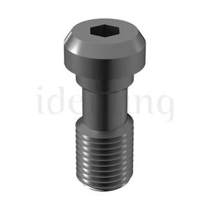 Tornillo Titanio Conexión Externa Hexagonal M2.5 WP