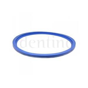 JUNTA PUERTA AZUL 18L KRONOS B