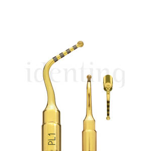 PIEZOSURGERY inserto PL1