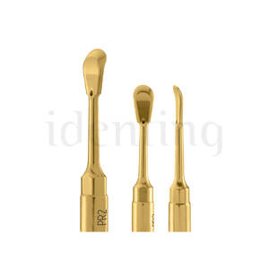PIEZOSURGERY inserto PR2