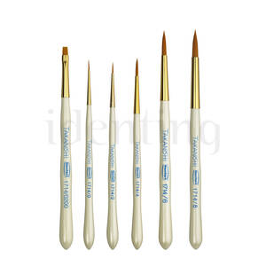 PINCEL TAKANISHI RENFERT kit 6 ud