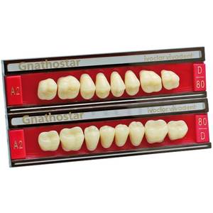 GNATHOSTAR CHR POST INF 12-DIENTES 