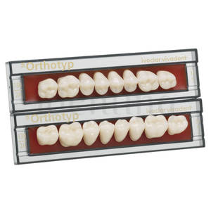 SR-ORTHOTYP CHROMASCOP POSTERIORES SUPERIORES 03-DIENTES 