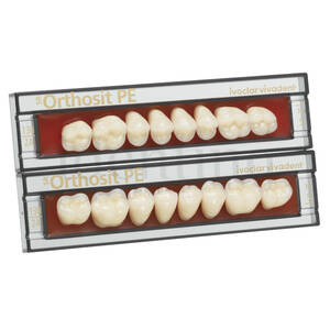 SR-ORTHOSIT PE POSTERIORES INFERIORES 18-DIENTES 