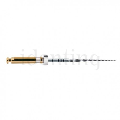 PROTAPER 25 mm S2 limas preparacion 6 ud