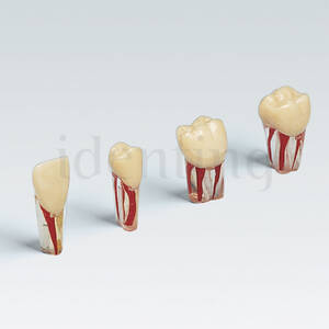 AG-3 ZPUK-21 Nº21 diente transparente 10 ud