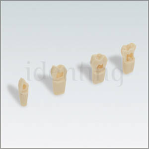 AK62ZPUL Nº 53 diente caduco camara pulpar hueca 10 ud
