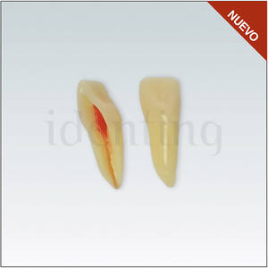 ANA4Z3RN11 Nº11 endo c/raiz natural apto RX 3 capas 100ud