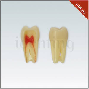 ANA4Z3RN16 Nº16 endo c/raiz natural apto RX 3 capas 10ud