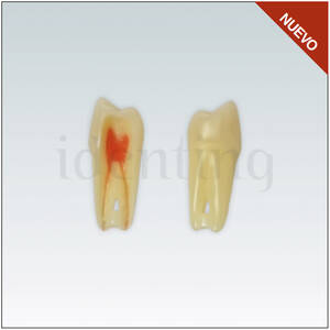 ANA4Z3RN24 Nº24 endo c/raiz natural apto RX 3 capas 10ud