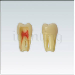 ANA4Z3RN26 Nº26 endo c/raiz natural apto RX 3 capas 10ud