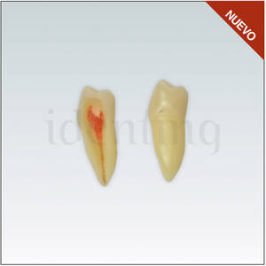 ANA4Z3RN45 Nº45 endo c/raiz natural apto RX 3 capas 10ud