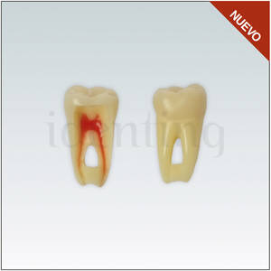 ANA4Z3RN46 Nº46 endo c/raiz natural apto RX 3 capas 100ud