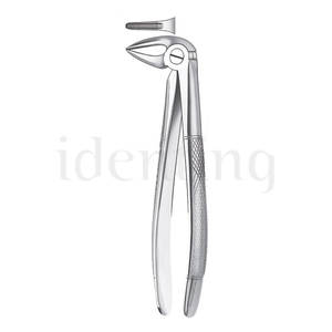 33 1/2 FORCEPS RAICES INFERIOR