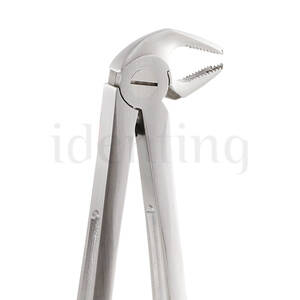 GX22 FORCEPS GATOREX MOLARES INFERIORES