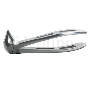GX136 FORCEPS GATOREX RAICES FRAGMENTOS INFERIORES