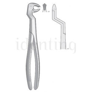 FORCEPS BONTEMPI rotador molar dx