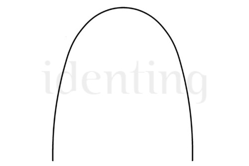 ARCO NITI SUPERELASTICO FORMA OVOIDE EUROPA II RECTANGULAR