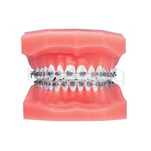 BRACKETS ELITE ROTH 022 REPOSICION