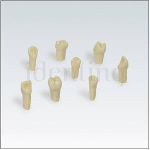 AEZKE Nº13 diente individual plastico p/modelo de extraccion