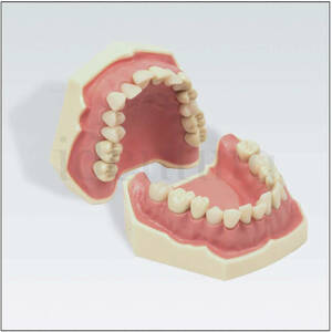 AG3 28 FS modelo c/api&ntilde;amiento