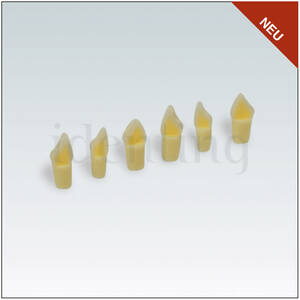 AG3ZSD300 diente esm-dent c/dif dureza esm trans nº 46. ud