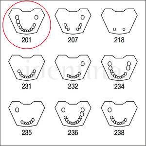 ANA4TUKV201 mandibula c/dentado parcial