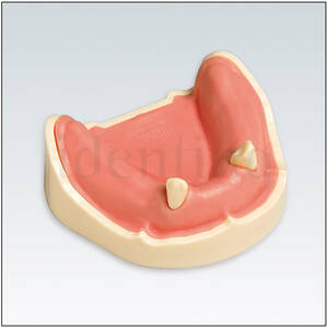 ANA4TUKV238 mandibula c/dentado parcial 7 54321-1234