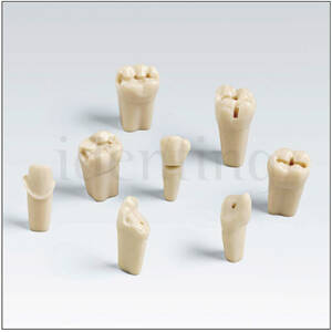 ANA4ZP47 99-005 dientes c/preparacion