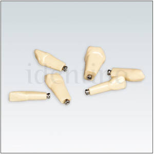 ANKA4ZE010 Nº 31 10 ud