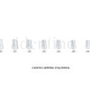 CORONAS ST5K233 CANINO SUP.IZDA. X5