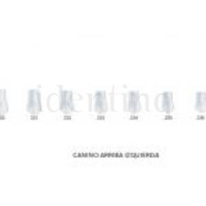 CORONAS ST5K235 CANINO SUP.IZDA. X5
