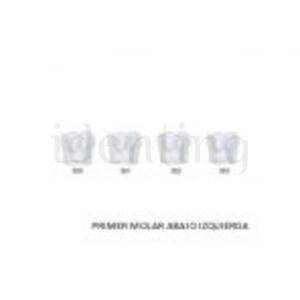 CORONAS ST5K363 MOLAR INF.IZDA. X5