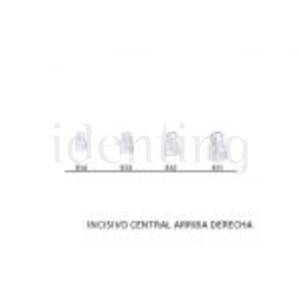 CORONAS STK5K513 INCISIVO CENTRAL SUP. DCHA. X5